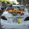 xe hoa tong trang do 2 - duoi xe.jpg